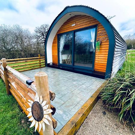 Beech Pod Cabin In Beautiful Surroundings 雷克瑟姆 外观 照片